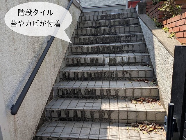 階段タイル　黒い汚れ付着