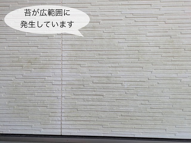 窯業系サイディング外壁　苔の発生