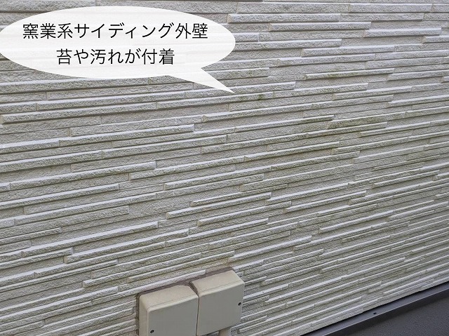 窯業系サイディング外壁　苔の発生