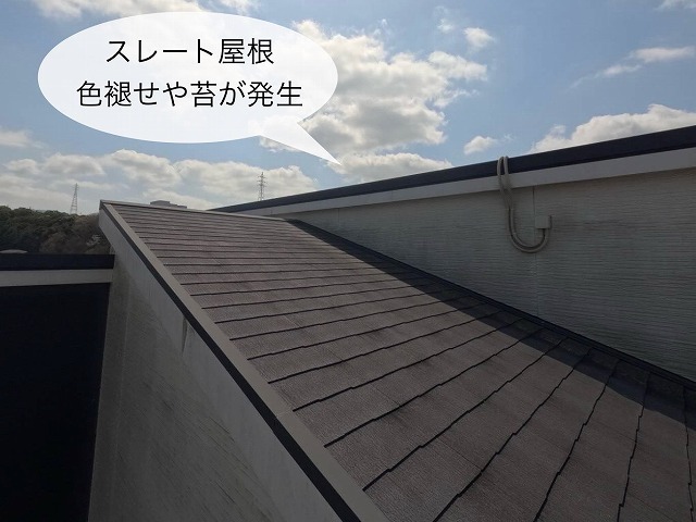 現地調査　スレート屋根　色褪せ　