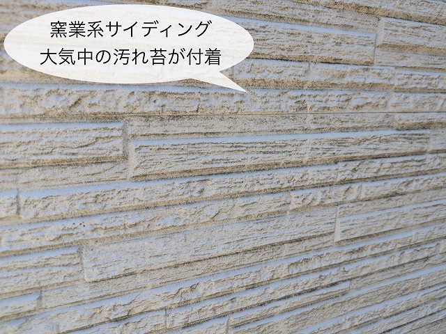 現地調査　窯業系サイディング外壁　苔汚れ付着