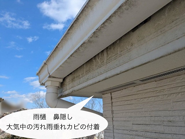 現地調査　雨樋　鼻隠し　汚れ付着