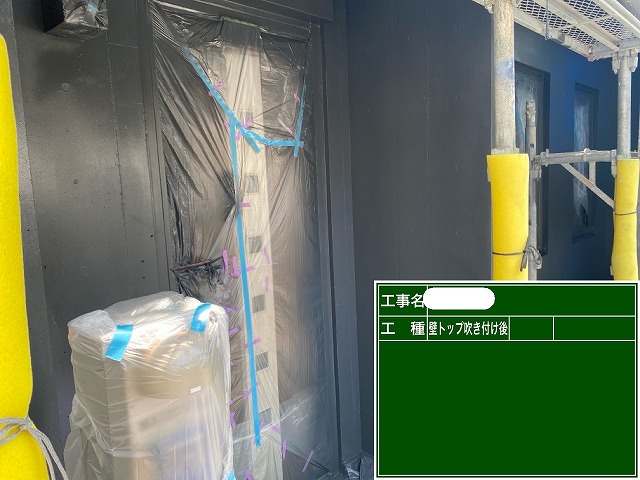 ダンネスト カラートップ
