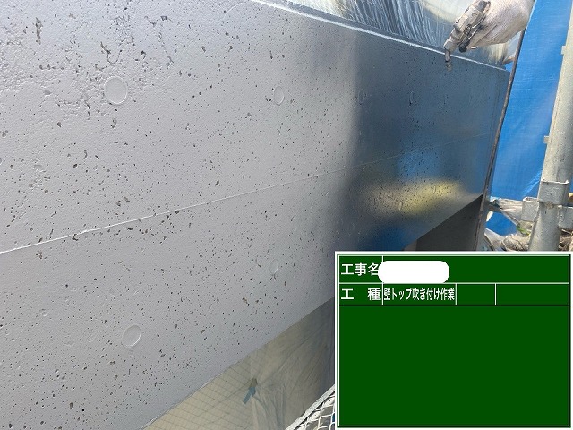 ダンネスト カラートップ