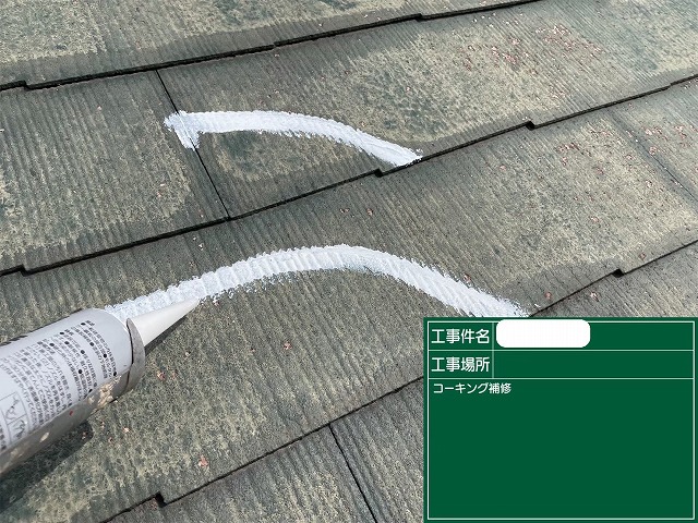 屋根　下地補修