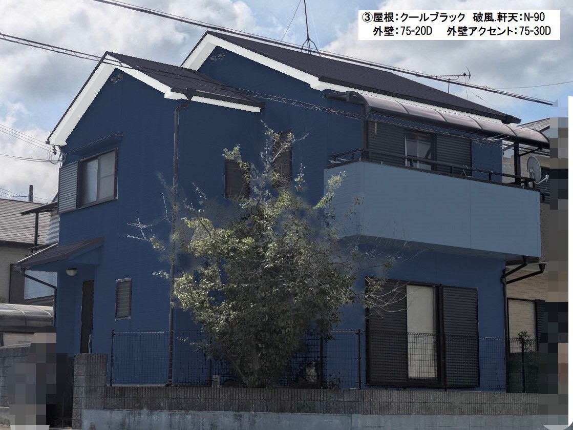 カラーシュミレーション　75-20D　