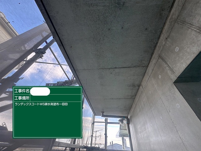 ﾗﾝﾃﾞｯｸｽｺｰﾄ　WSﾗﾝﾃﾞｯｸｽｺｰﾄ　WS疎水剤　1層目