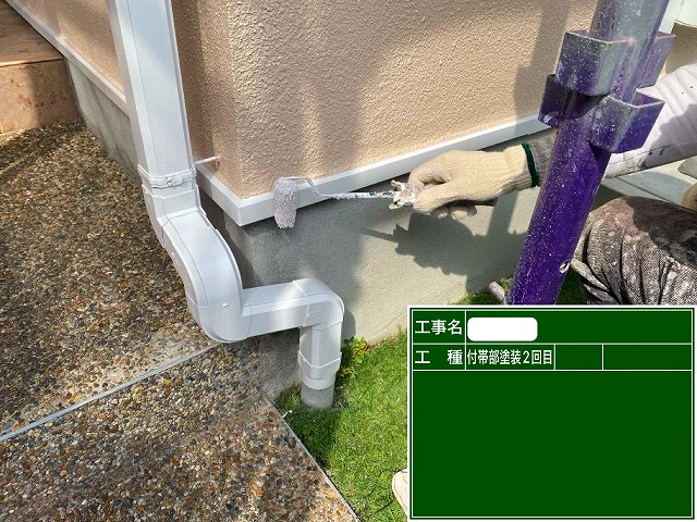 付帯部2回目　ファインパーフェクトトップ　