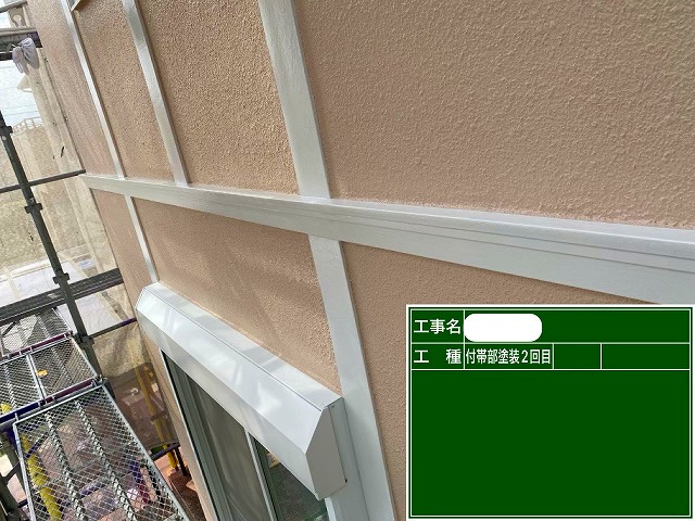 付帯部2回目　ファインパーフェクトトップ　