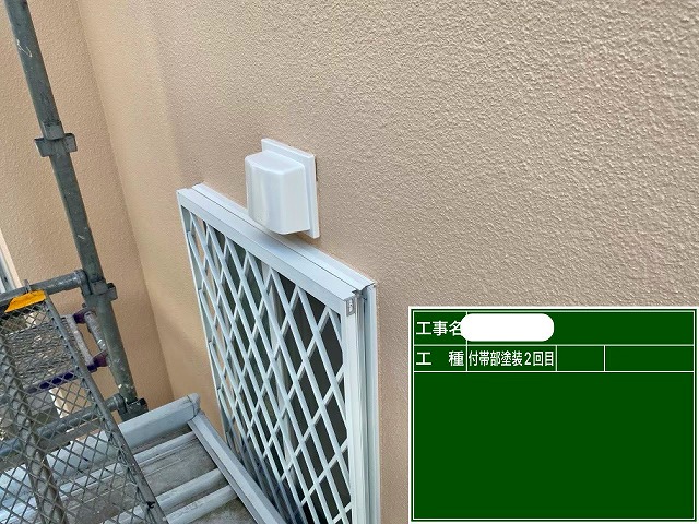 付帯部2回目　ファインパーフェクトトップ　