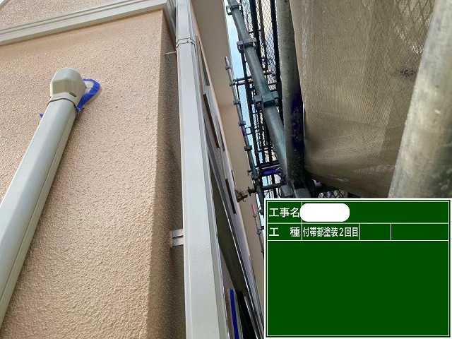 付帯部2回目　ファインパーフェクトトップ　