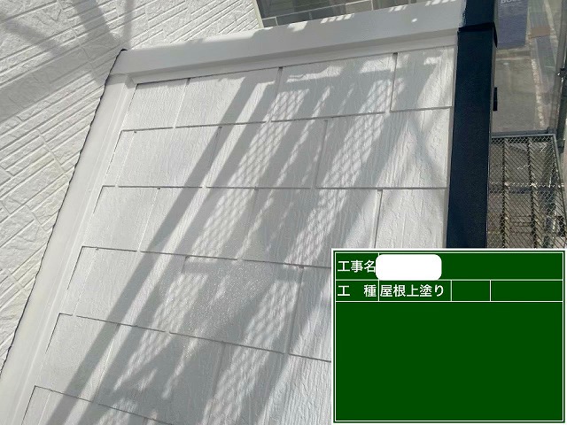ダンネスト　上塗り