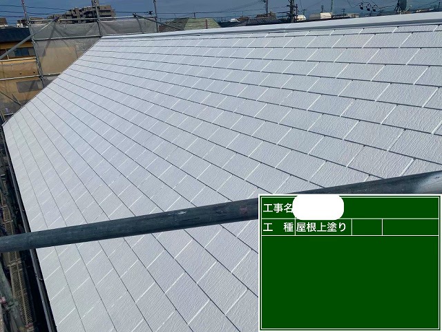 ダンネスト　上塗り