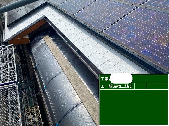ダンネスト　上塗り