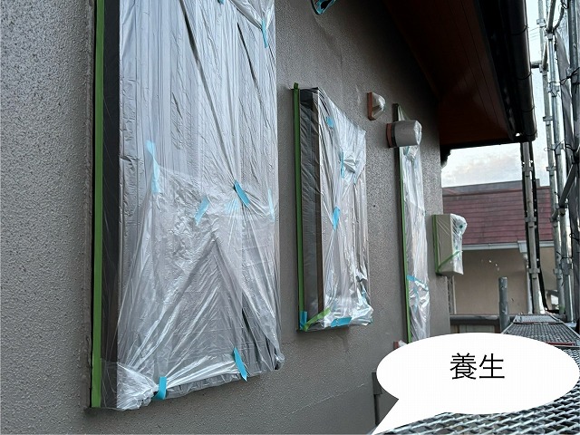 養生