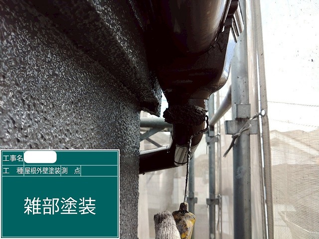 雨樋　上塗り